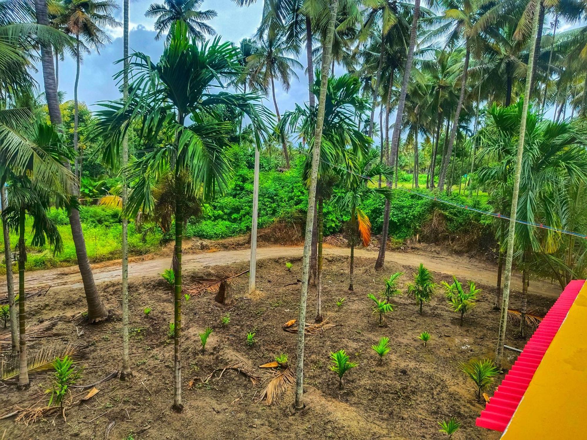Shivalaya Farmstay Located Amdist Coconut Farm With River Access Near Isha,Adiyogi,Siruvani Alāndurai Exterior photo