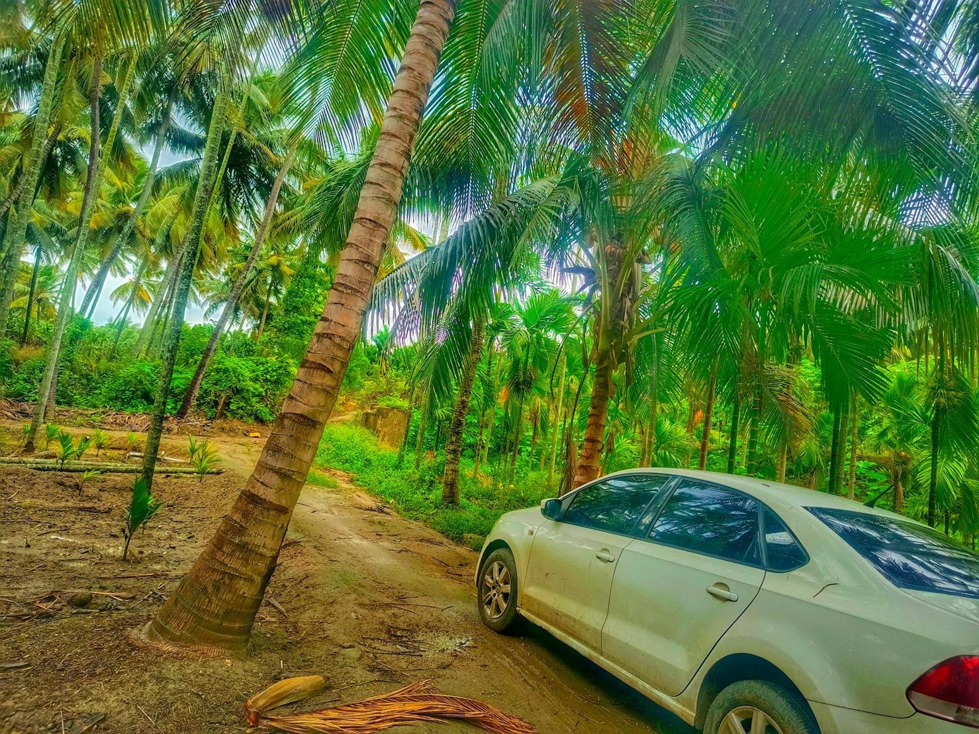 Shivalaya Farmstay Located Amdist Coconut Farm With River Access Near Isha,Adiyogi,Siruvani Alāndurai Exterior photo